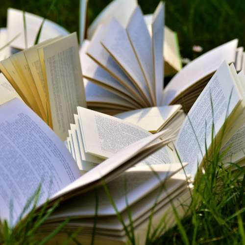 Kirjoja nurmikolla